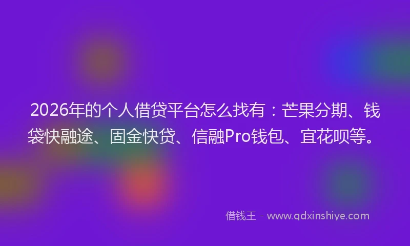 2026年的个人借贷平台怎么找有：芒果分期、钱袋快融途、固金快贷、信融Pro钱包、宜花呗等。