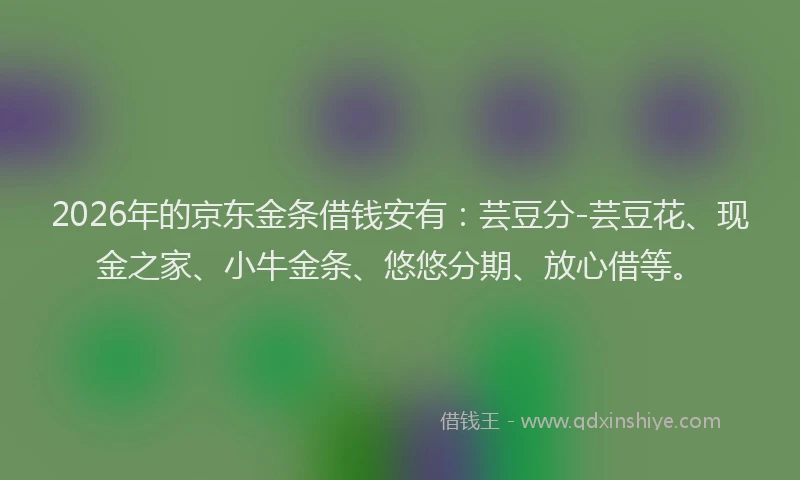 2026年的京东金条借钱安有：芸豆分-芸豆花、现金之家、小牛金条、悠悠分期、放心借等。