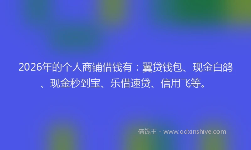 2026年的个人商铺借钱有：翼贷钱包、现金白鸽、现金秒到宝、乐借速贷、信用飞等。