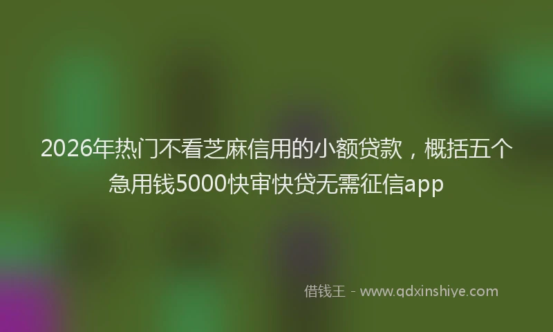2026年热门不看芝麻信用的小额贷款，概括五个急用钱5000快审快贷无需征信app