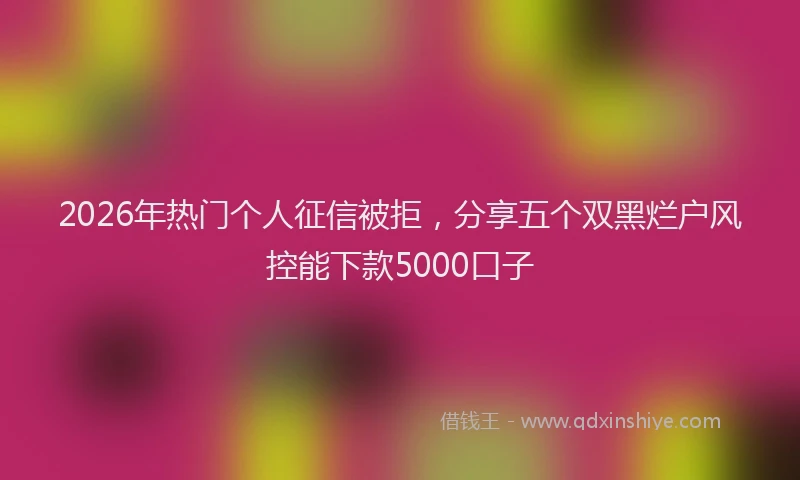 2026年热门个人征信被拒，分享五个双黑烂户风控能下款5000口子