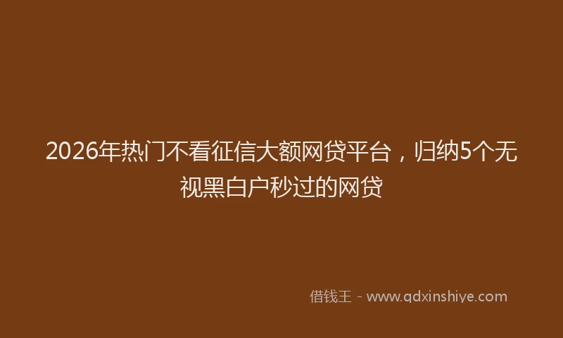 2026年热门不看征信大额网贷平台，归纳5个无视黑白户秒过的网贷