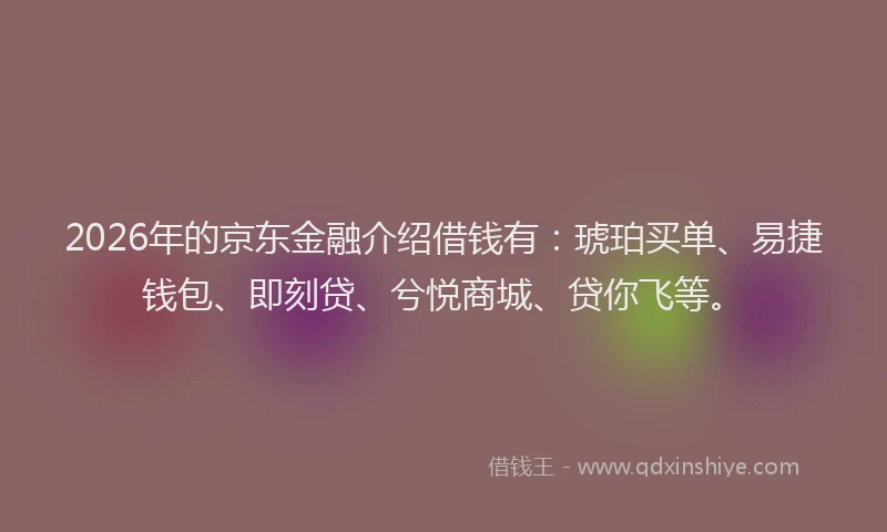 2026年的京东金融介绍借钱有：琥珀买单、易捷钱包、即刻贷、兮悦商城、贷你飞等。
