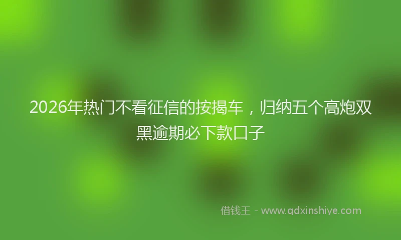 2026年热门不看征信的按揭车，归纳五个高炮双黑逾期必下款口子