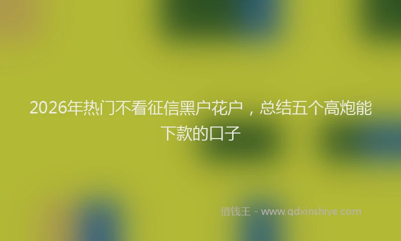 2026年热门不看征信黑户花户，总结五个高炮能下款的口子