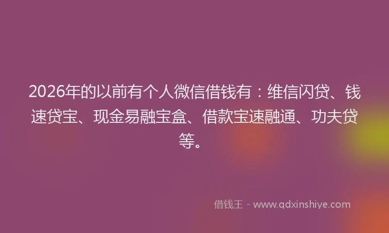 2026年的以前有个人微信借钱有：维信闪贷、钱速贷宝、现金易融宝盒、借款宝速融通、功夫贷等。