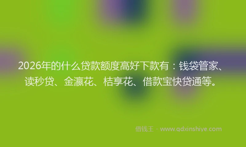 2026年的什么贷款额度高好下款有：钱袋管家、读秒贷、金瀛花、桔享花、借款宝快贷通等。