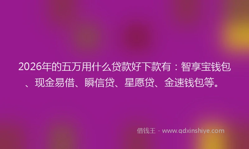2026年的五万用什么贷款好下款有：智享宝钱包、现金易借、瞬信贷、星愿贷、金速钱包等。