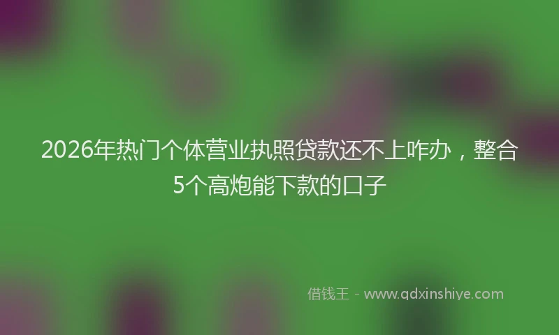 2026年热门个体营业执照贷款还不上咋办，整合5个高炮能下款的口子