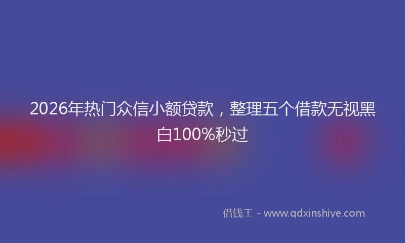 2026年热门众信小额贷款，整理五个借款无视黑白100%秒过
