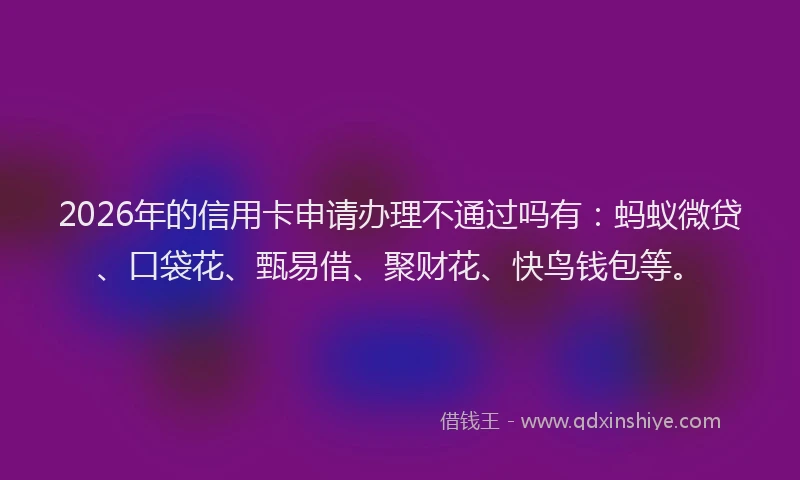 2026年的信用卡申请办理不通过吗有：蚂蚁微贷、口袋花、甄易借、聚财花、快鸟钱包等。