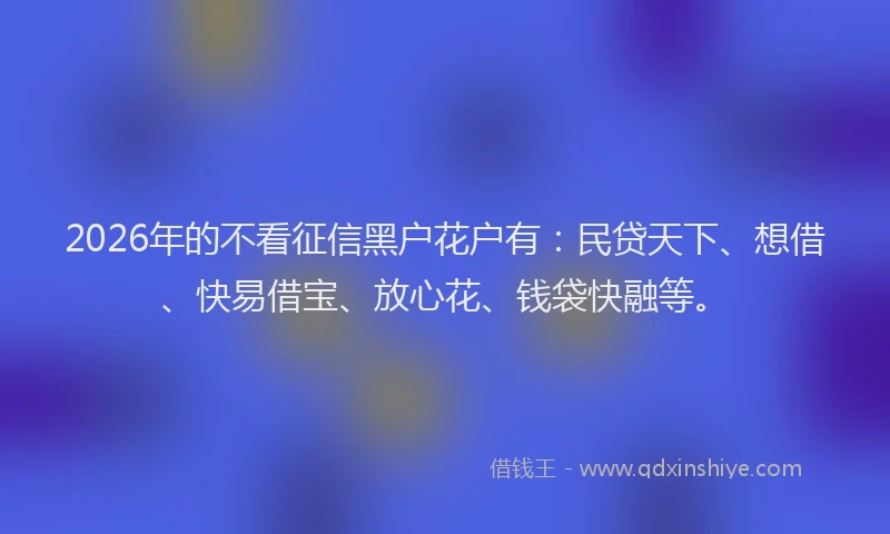 2026年的不看征信黑户花户有：民贷天下、想借、快易借宝、放心花、钱袋快融等。