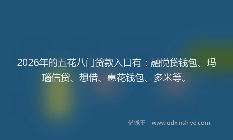 2026年的五花八门贷款入口有：融悦贷钱包、玛瑙信贷、想借、惠花钱包、多米等。