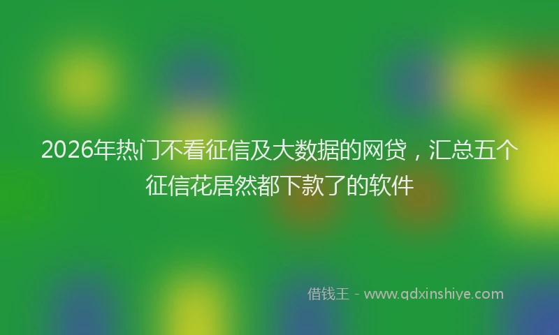 2026年热门不看征信及大数据的网贷，汇总五个征信花居然都下款了的软件