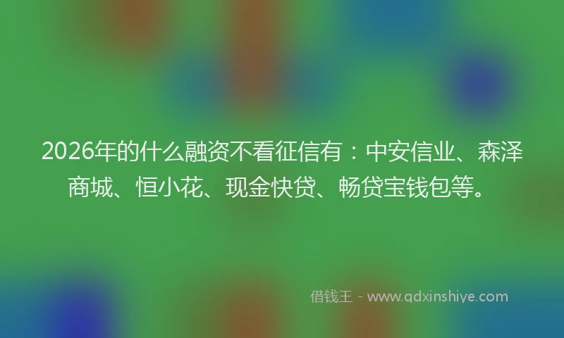 2026年的什么融资不看征信有：中安信业、森泽商城、恒小花、现金快贷、畅贷宝钱包等。