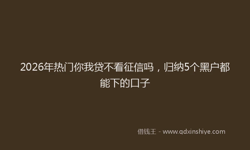 2026年热门你我贷不看征信吗，归纳5个黑户都能下的口子