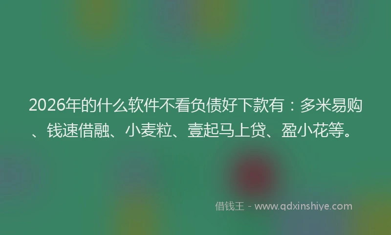2026年的什么软件不看负债好下款有：多米易购、钱速借融、小麦粒、壹起马上贷、盈小花等。