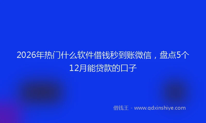 2026年热门什么软件借钱秒到账微信，盘点5个12月能贷款的口子