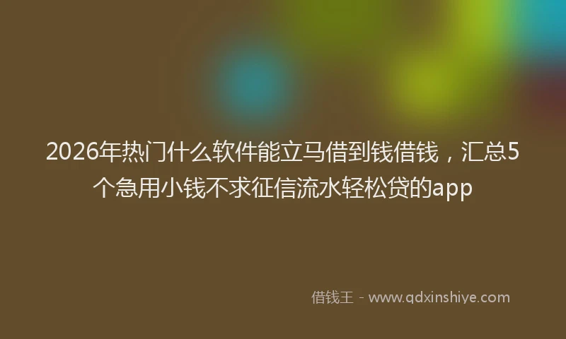 2026年热门什么软件能立马借到钱借钱，汇总5个急用小钱不求征信流水轻松贷的app