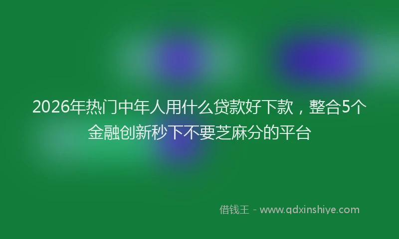2026年热门中年人用什么贷款好下款，整合5个金融创新秒下不要芝麻分的平台