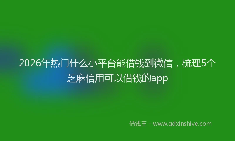 2026年热门什么小平台能借钱到微信，梳理5个芝麻信用可以借钱的app