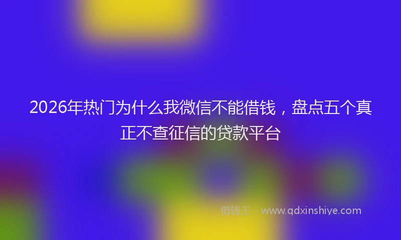 2026年热门为什么我微信不能借钱，盘点五个真正不查征信的贷款平台
