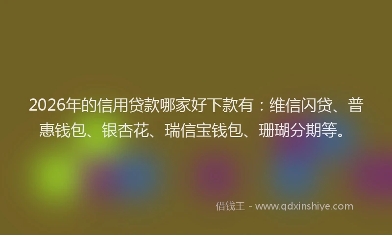 2026年的信用贷款哪家好下款有：维信闪贷、普惠钱包、银杏花、瑞信宝钱包、珊瑚分期等。