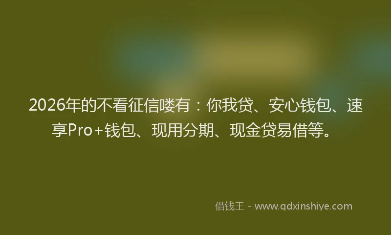 2026年的不看征信喽有：你我贷、安心钱包、速享Pro+钱包、现用分期、现金贷易借等。