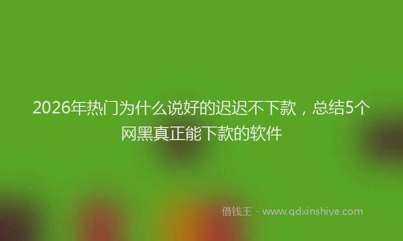 2026年热门为什么说好的迟迟不下款，总结5个网黑真正能下款的软件