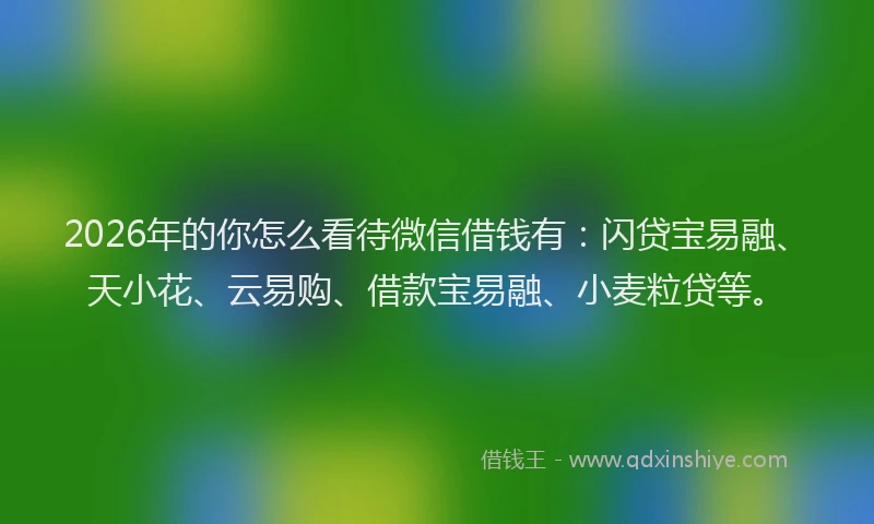 2026年的你怎么看待微信借钱有：闪贷宝易融、天小花、云易购、借款宝易融、小麦粒贷等。