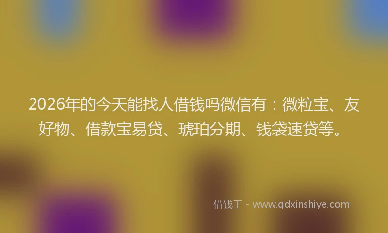 2026年的今天能找人借钱吗微信有：微粒宝、友好物、借款宝易贷、琥珀分期、钱袋速贷等。