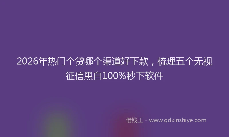 2026年热门个贷哪个渠道好下款，梳理五个无视征信黑白100%秒下软件