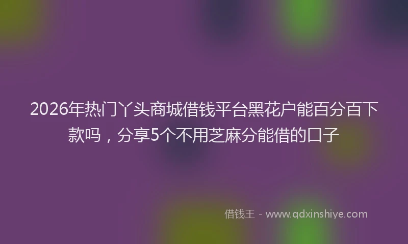 2026年热门丫头商城借钱平台黑花户能百分百下款吗，分享5个不用芝麻分能借的口子