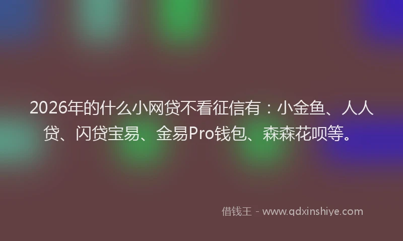 2026年的什么小网贷不看征信有：小金鱼、人人贷、闪贷宝易、金易Pro钱包、森森花呗等。
