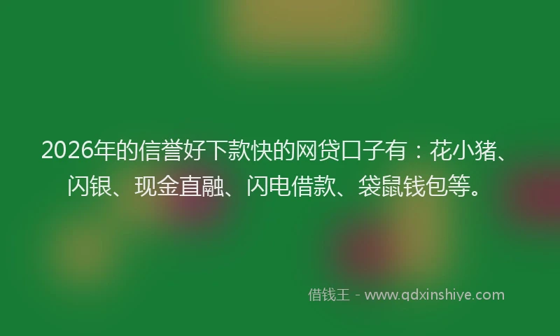 2026年的信誉好下款快的网贷口子有：花小猪、闪银、现金直融、闪电借款、袋鼠钱包等。
