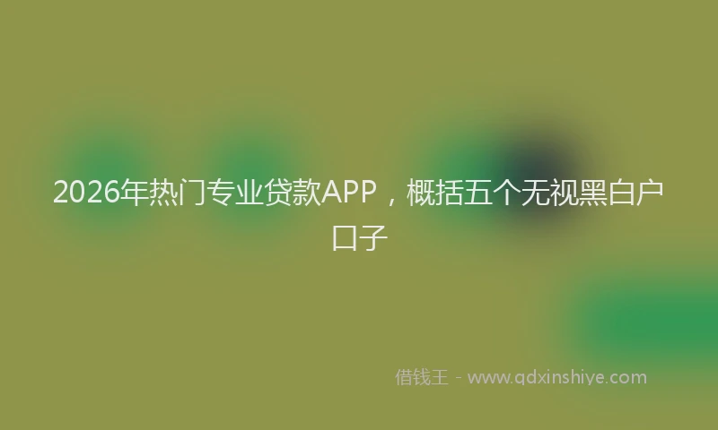 2026年热门专业贷款APP，概括五个无视黑白户口子