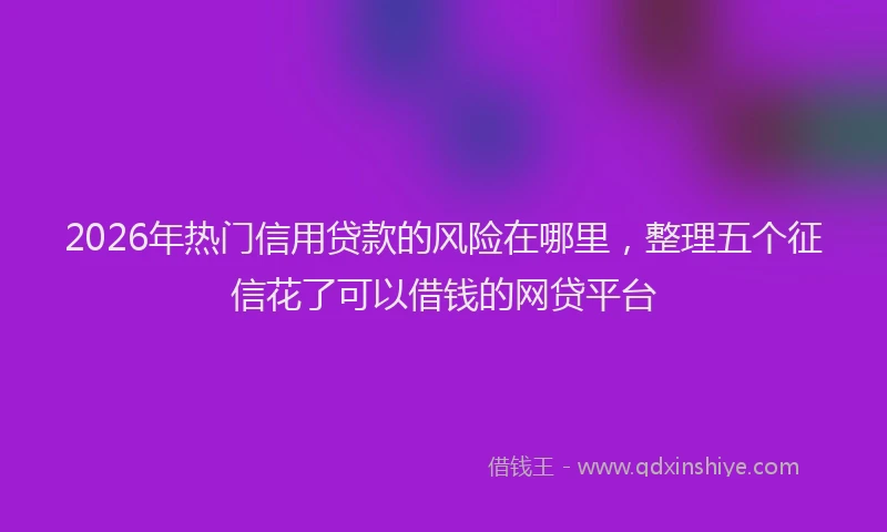 2026年热门信用贷款的风险在哪里，整理五个征信花了可以借钱的网贷平台
