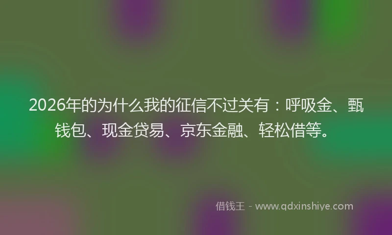 2026年的为什么我的征信不过关有：呼吸金、甄钱包、现金贷易、京东金融、轻松借等。