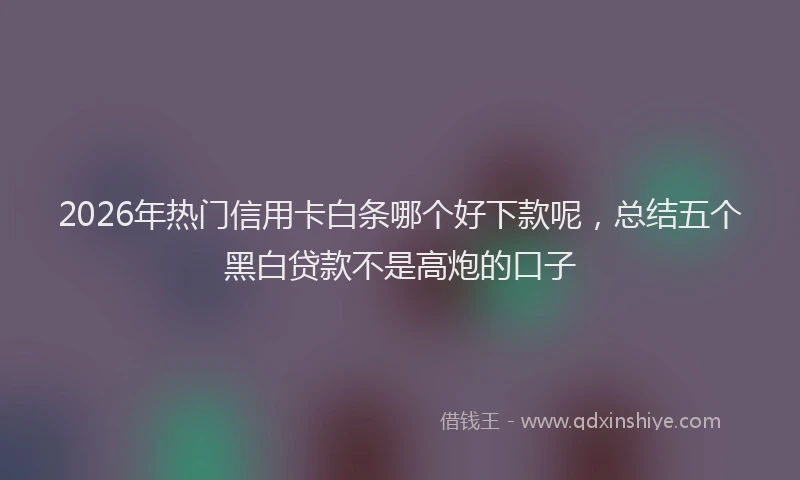 2026年热门信用卡白条哪个好下款呢，总结五个黑白贷款不是高炮的口子