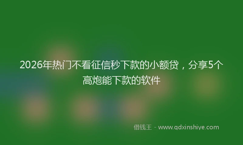 2026年热门不看征信秒下款的小额贷，分享5个高炮能下款的软件