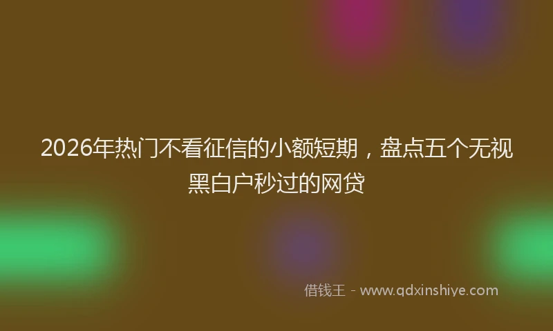 2026年热门不看征信的小额短期，盘点五个无视黑白户秒过的网贷