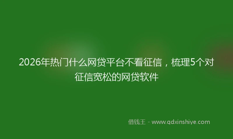 2026年热门什么网贷平台不看征信，梳理5个对征信宽松的网贷软件