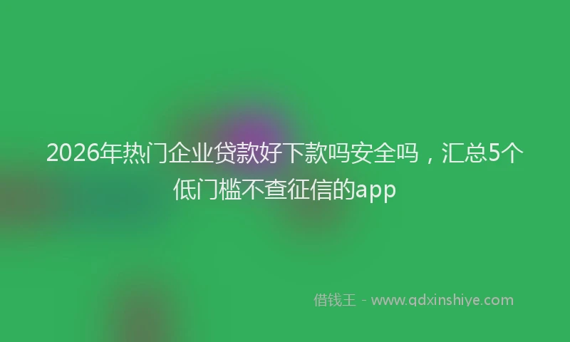 2026年热门企业贷款好下款吗安全吗，汇总5个低门槛不查征信的app