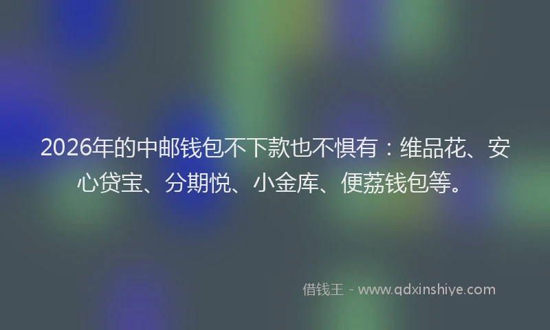 2026年的中邮钱包不下款也不惧有：维品花、安心贷宝、分期悦、小金库、便荔钱包等。