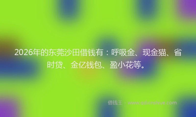 2026年的东莞沙田借钱有：呼吸金、现金猫、省时贷、金亿钱包、盈小花等。