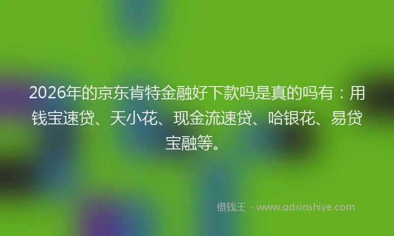 2026年的京东肯特金融好下款吗是真的吗有：用钱宝速贷、天小花、现金流速贷、哈银花、易贷宝融等。
