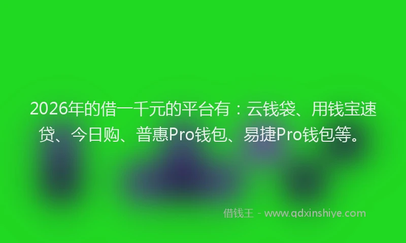 2026年的借一千元的平台有：云钱袋、用钱宝速贷、今日购、普惠Pro钱包、易捷Pro钱包等。