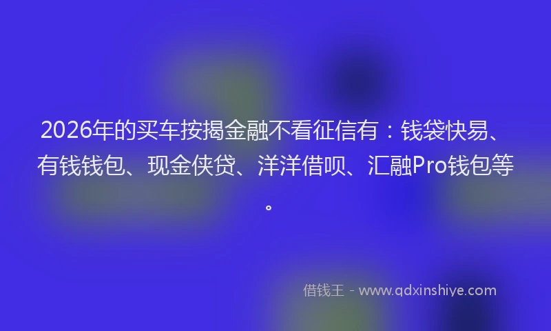 2026年的买车按揭金融不看征信有：钱袋快易、有钱钱包、现金侠贷、洋洋借呗、汇融Pro钱包等。