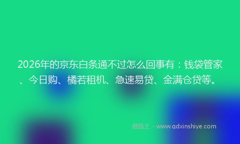 2026年的京东白条通不过怎么回事有：钱袋管家、今日购、橘若租机、急速易贷、金满仓贷等。