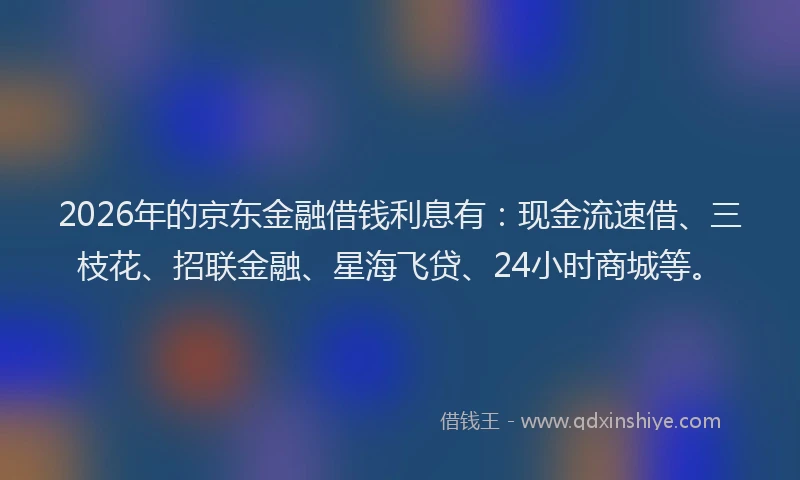 2026年的京东金融借钱利息有：现金流速借、三枝花、招联金融、星海飞贷、24小时商城等。